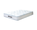 Spinefit Plus