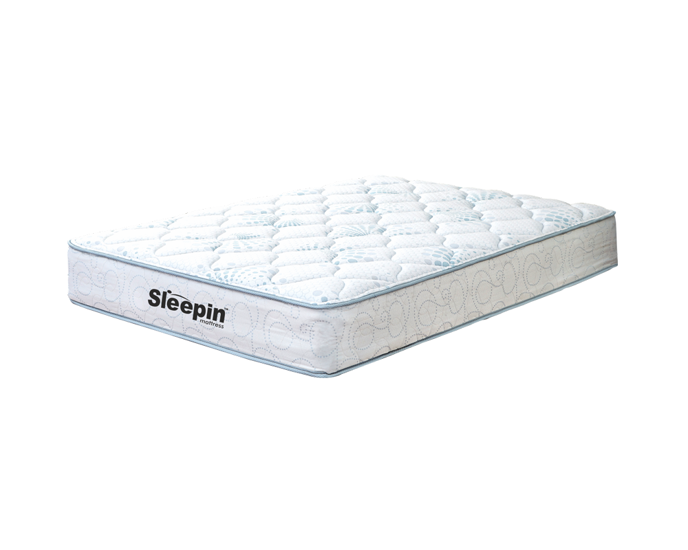 Spinefit Plus