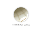 Spinefit Plus